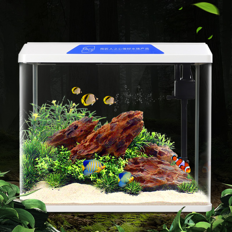 家庭免换水自循环生态养金鱼缸小型桌面宿舍水族馆箱智能家用自动高清大图