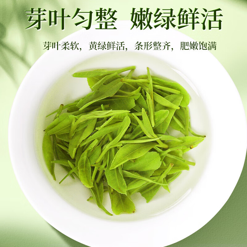 一杯香 250g 茶叶明前头芽云雾绿茶新茶春茶礼盒装日照足云雾5星 125g*2 (单位:盒)