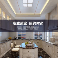 友邦集成吊顶 4平方雅佳厨房吊顶扣板模块 厨卫嵌入式led灯天花板0.45MM吊顶扣板套餐 雅佳C AD1503吊顶扣板
