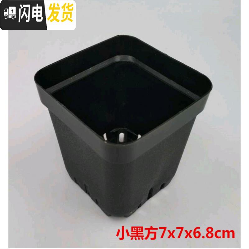 三维工匠掌柜推荐桌面简约多肉植物花盆小黑方扦插育苗塑料方盆价优 黑色7x7x6.8cm30个 中小花盆容器高清大图