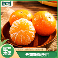 顺丰快递[苏鲜生]云南高原沃柑 9斤装 单果70-75mm 大果 时令现摘柑橘子当季蜜桔整箱新鲜水果