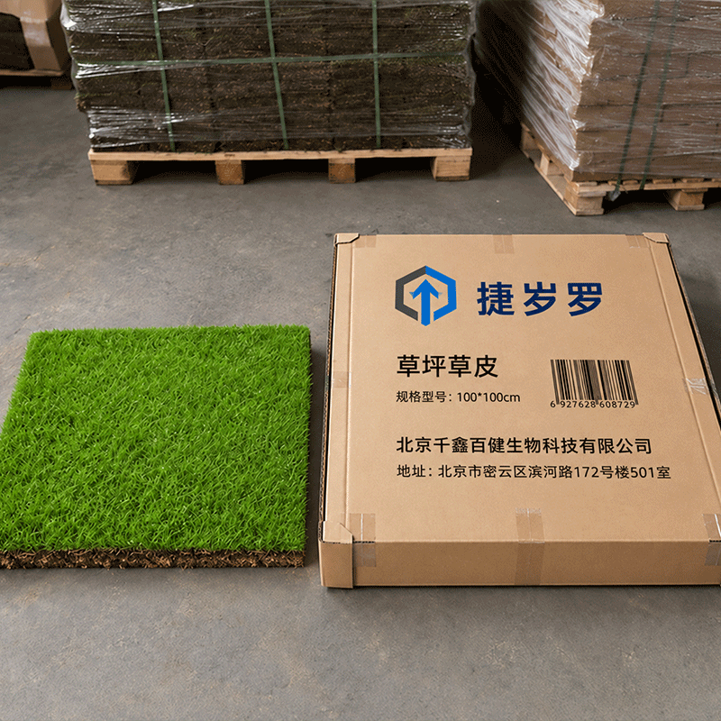 捷岁罗 草坪草皮 100*100cm 平方米高清大图