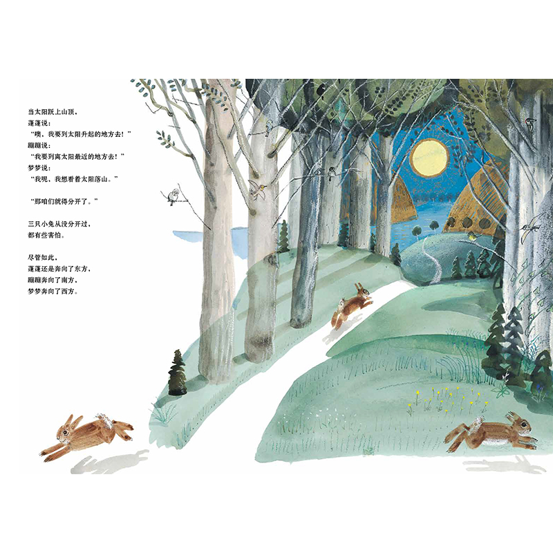 正版新书]三胞胎小兔的烦马克斯·薄立歌9787559064660高清大图