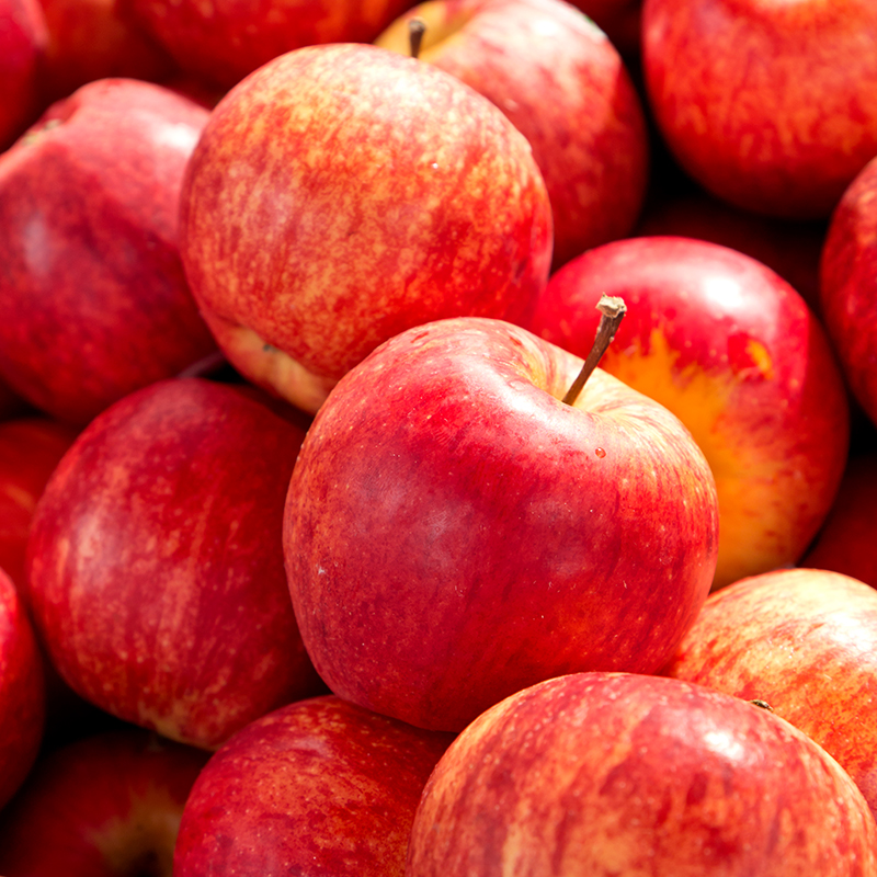 橙心果匠 精选新西兰泰勒苹果 5桶(1.6kg左右)高清大图
