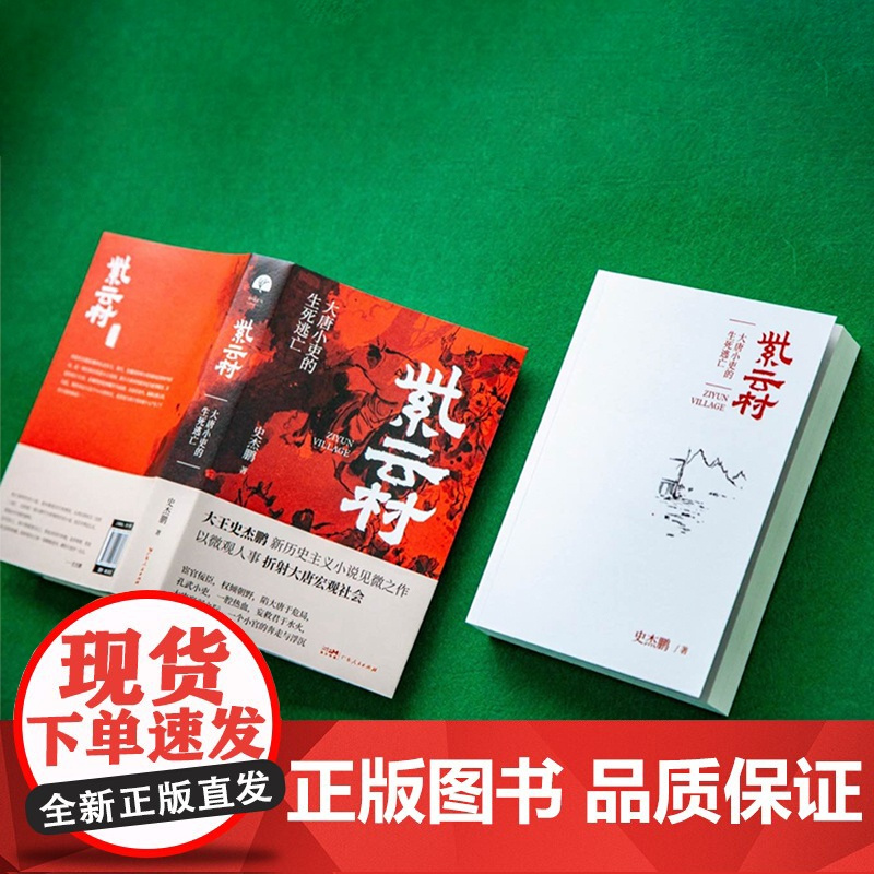 正版丨紫云村 大王史杰鹏著 大唐小吏的生死逃亡 以微观人事折射大唐宏观社会 一个小官的奔走与浮沉 长篇历史小说