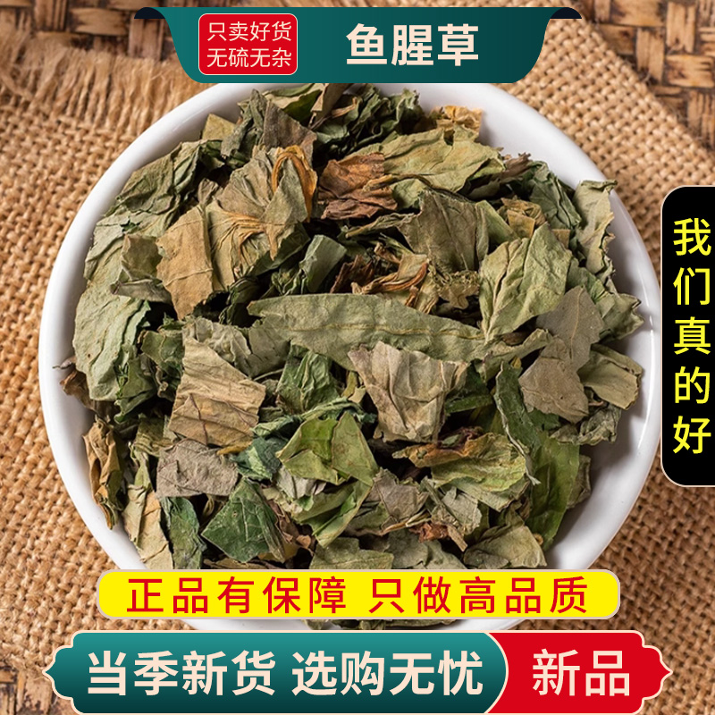 甄选鱼腥草100克蝇草狗贴耳臭菜岑草蕺菹菜紫背鱼腥草9260高清大图