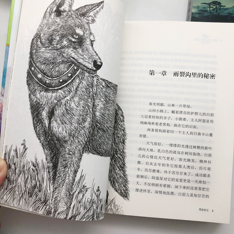 [友一个正版]沈石溪动物小说第三辑新版6册/红飘带狮王+混血豺王+雄狮去流浪+虎娃金叶子+双面猎犬+疯羊血顶儿高清大图