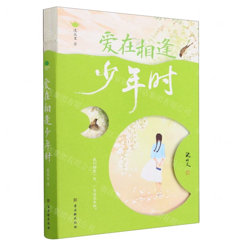 [N]爱在相逢少年时-9787554618936高清大图