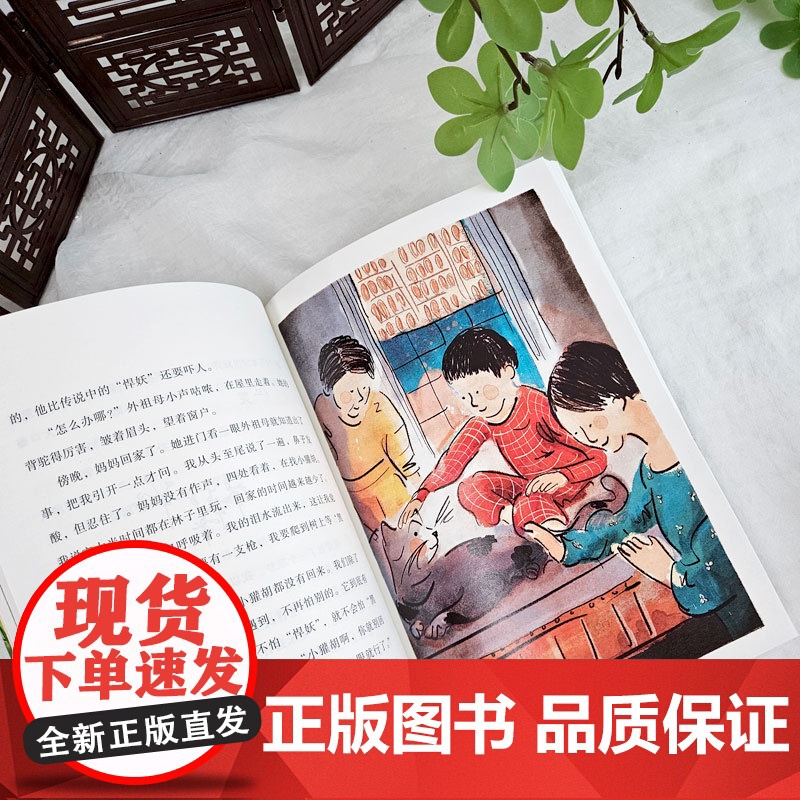 爱的川流不息 张炜 著 新蕾出版社 茅盾文学奖得主青少年亲情成长小说7-10岁儿童文学读物 橘颂作者张炜送给每位读者的爱高清大图