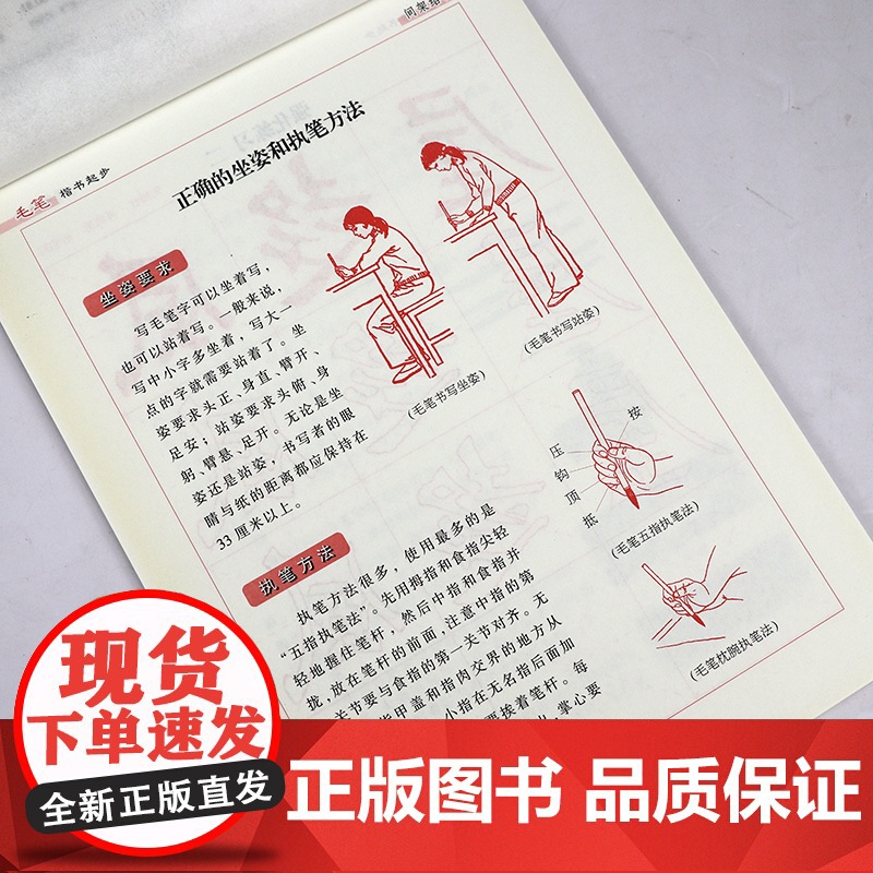 毛笔楷书起步:间架结构 益字帖系列书籍高清大图