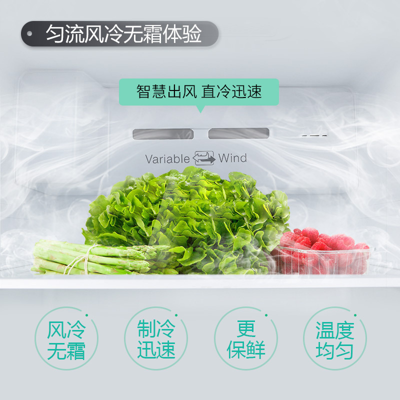 TCL 515升对开门冰箱 风冷无霜直出风设计 大容量双开门节能静音电脑控温电冰箱家用 BCD-515WEFA1高清大图