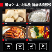 德玛仕(DEMASHI)蒸饭柜商用 学校企业酒店食堂蒸包蒸箱 电热蒸饭车 8盘记忆菜单电脑款KZ-80D 380V
