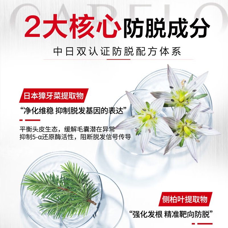 卡蓓诺(CABELO)日本进口 防脱发强韧洗发水350ml[2025防脱备案]强根固发高清大图