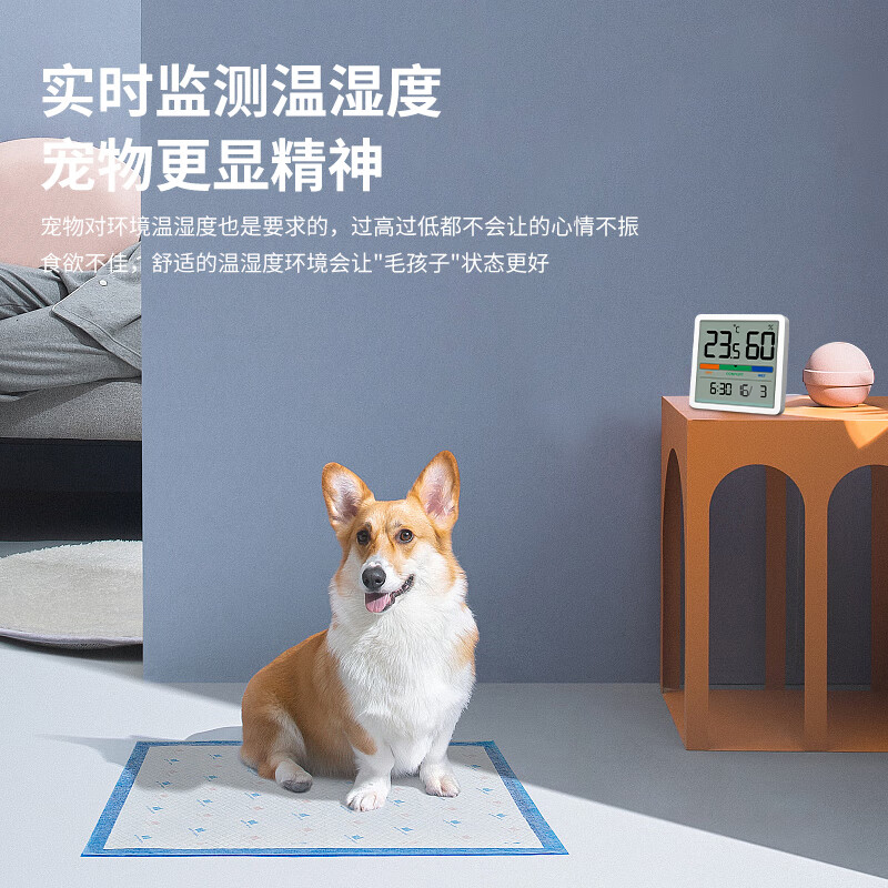 倍想 温湿度计时钟版W200高清大图