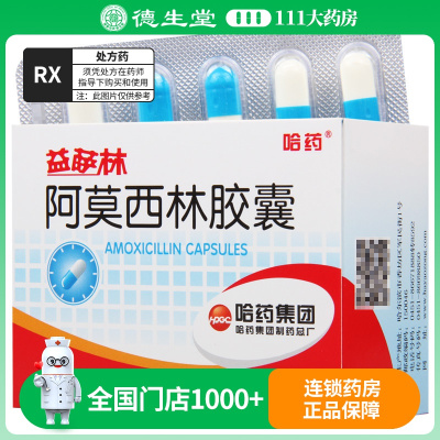 哈药 阿莫西林胶囊 0.25g*50粒/盒