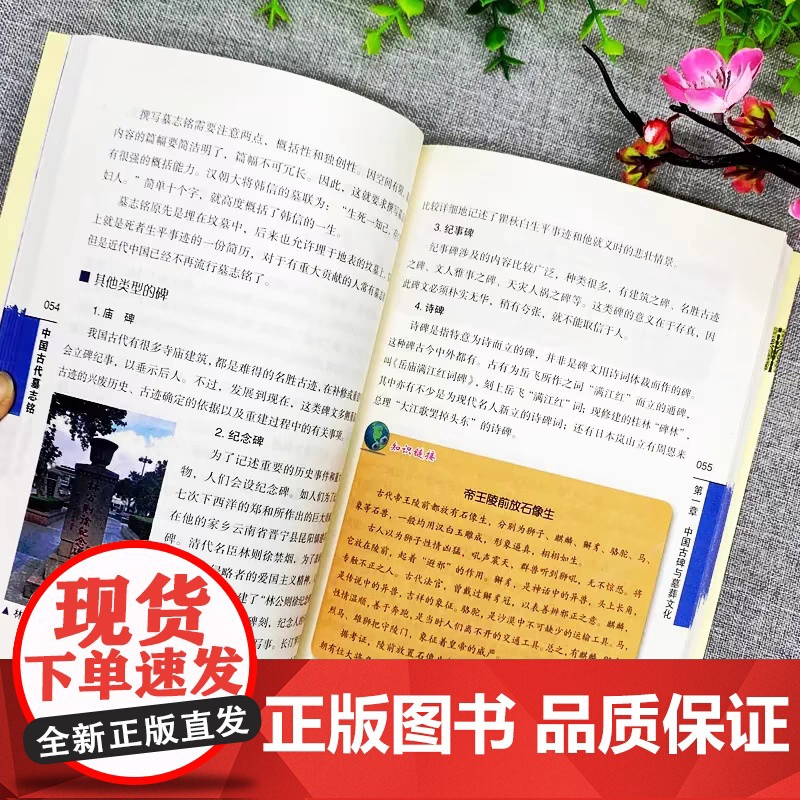 正版中国古代墓志铭 中国传统民俗文化碑刻石刻墓志铭精选古代墓志铭发展七元洛阳古代考古石刻图录汇集中国历史文物考古研究书籍高清大图