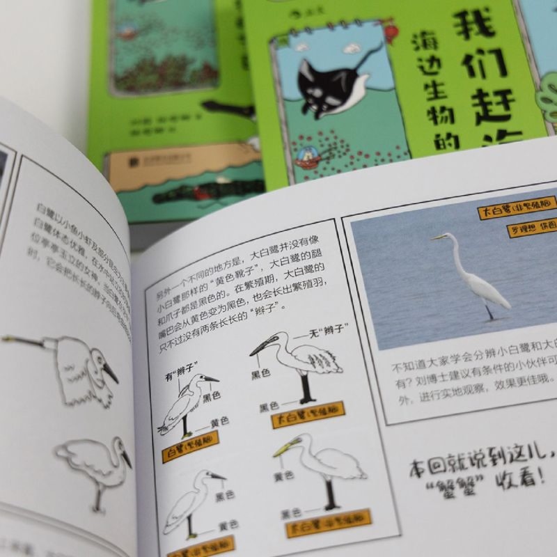 [正版]书店 书籍我们赶海去 海边生物的节日 红树林滨海湿地滩涂海洋生物环保少儿读物科普漫画书 后浪高清大图