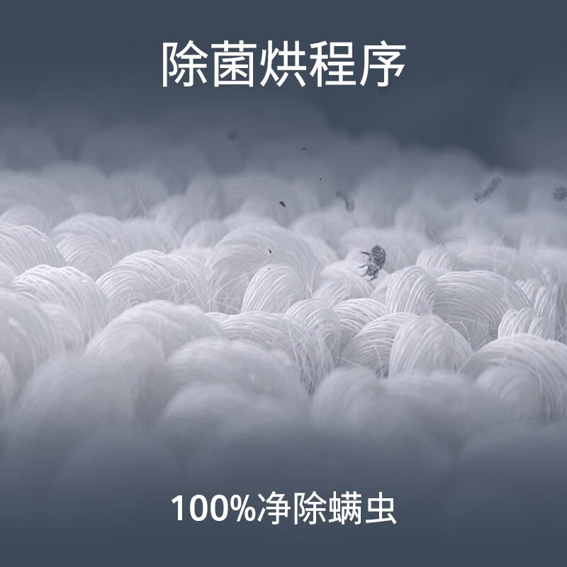 西门子 WQ53E2D80W 全新无界系列10公斤大容量热泵烘干机干衣机家用除菌除螨 精控烘干 蚕丝被柔护高清大图