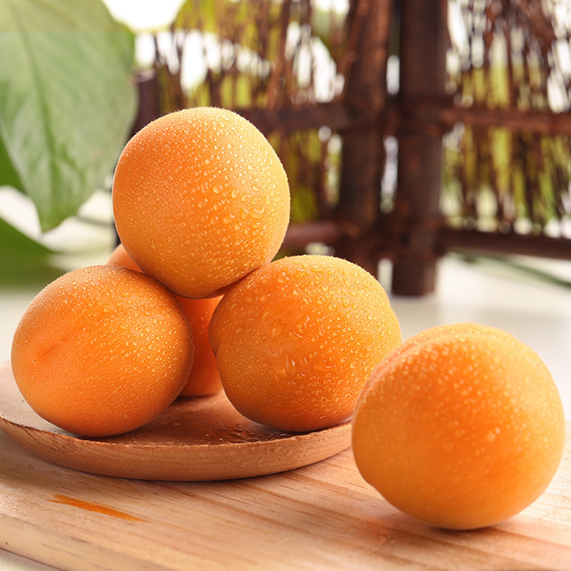 靓果汇陕西大黄杏5斤装新鲜杏子新鲜水果清酸爽口坏果包赔桃李