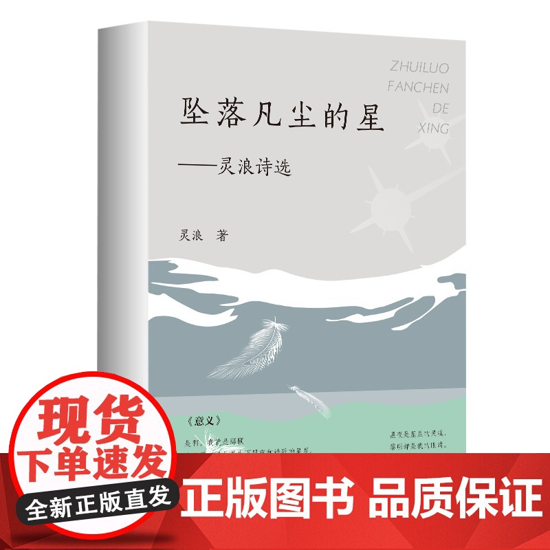 坠落凡尘的星 灵浪诗选诗歌人生2018-2024年期间所创作的现代诗作品喜悲愁等情感记录生物岛成长亚花阅历诗歌书籍广东人高清大图