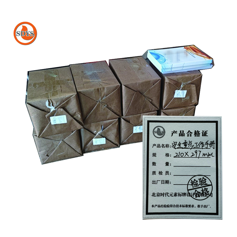 SDYS 安全重点工作手册 210*297mm 本高清大图