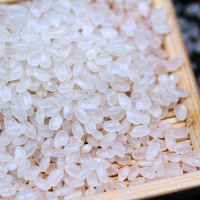 溢田东北大米袋珍珠米5斤圆粒珍珠米2.5kg