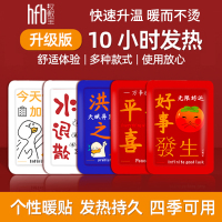 汉敷宝钱途无量暖贴2片装