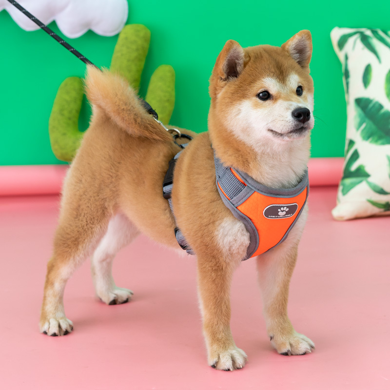 s适合(6-12斤) 狗狗胸背带牵引绳背心式背带防爆冲中型犬宠物用品柴犬