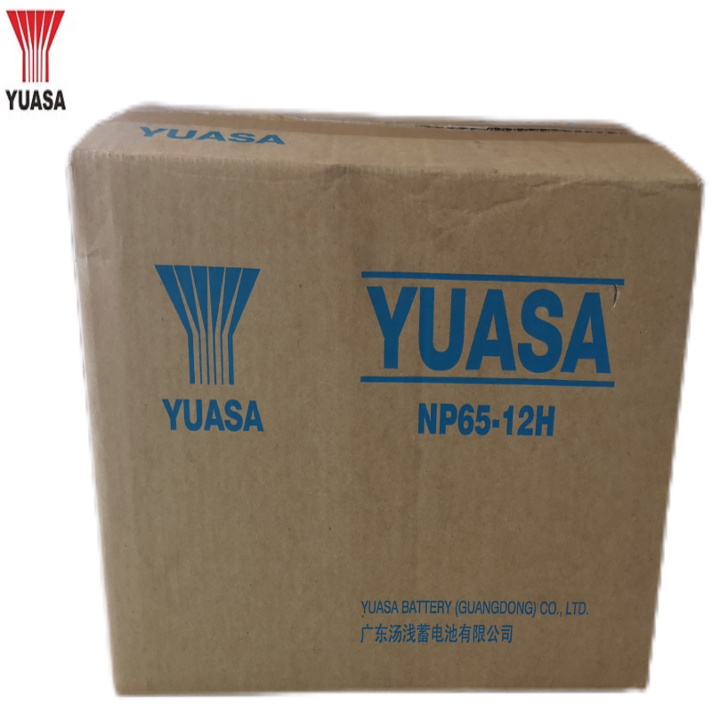 汤浅YUASA阀控式铅酸蓄电池NP65-12H (18节12V65AH一组、含电池连接线)高清大图