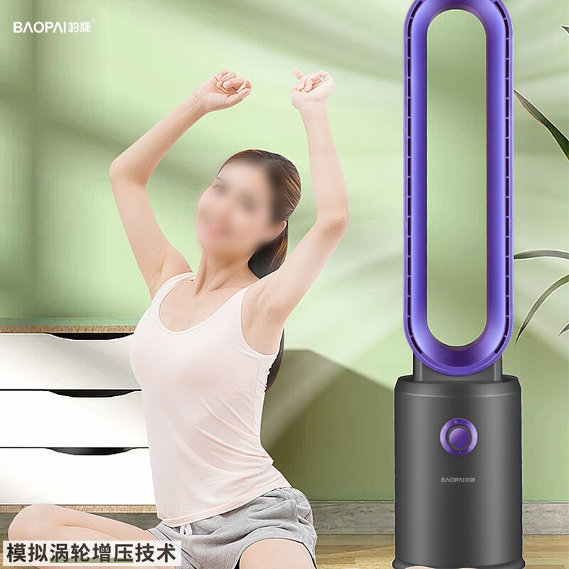 豹牌 无叶风扇 BP-XP206(烤漆)高清大图