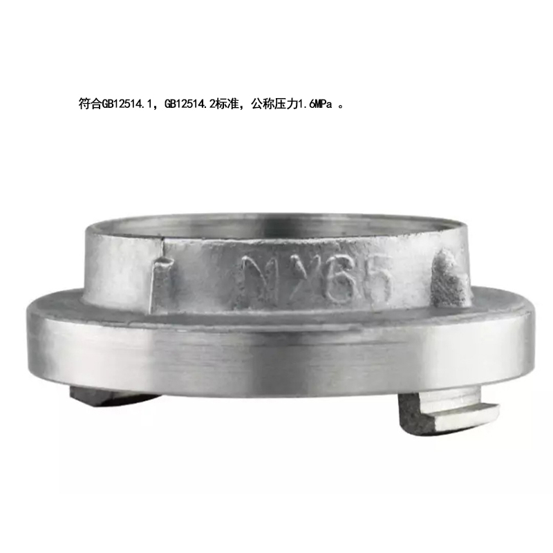 沪消 KN65 内螺纹固定接口(个)
