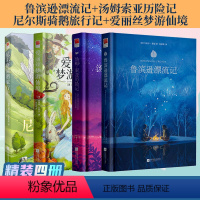 鲁滨逊漂流记+汤姆索亚漂流记+尼尔斯骑鹅旅行记+爱丽丝梦游仙境(4册) [正版]精装|鲁滨逊漂流记+汤姆索亚历险记+尼尔