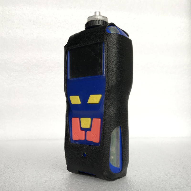 NGPG 二氧化硫气体检测仪 NGP40-SO2（烟气）