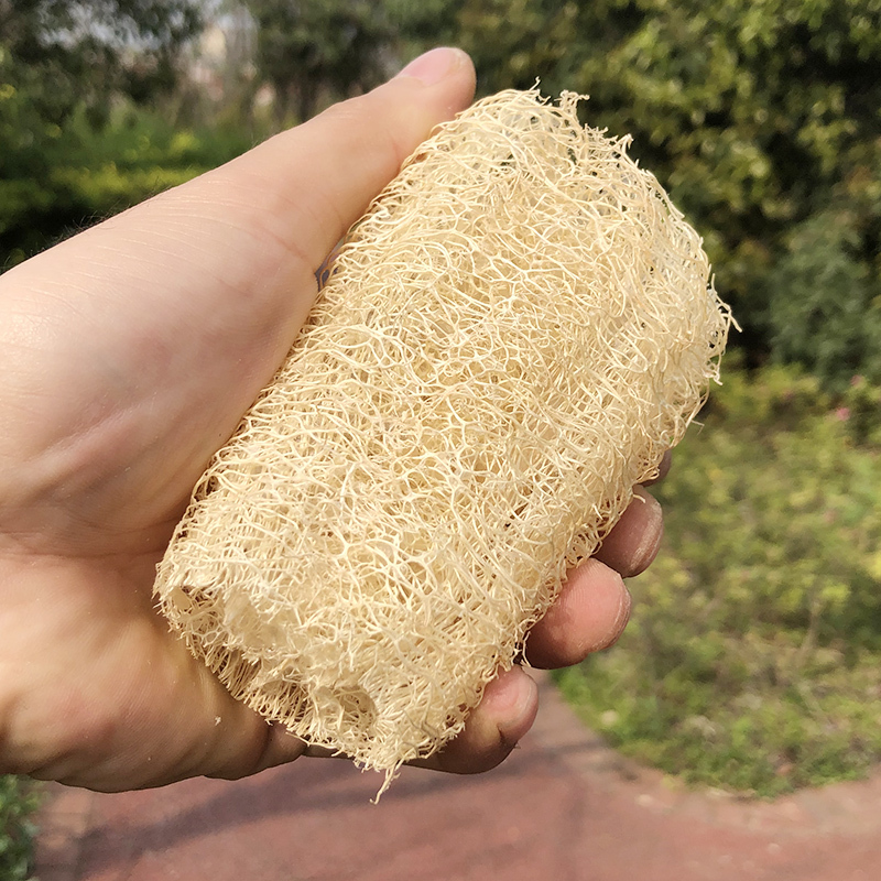 丝瓜瓤洗碗丝瓜络丝瓜布洗碗刷天然老丝瓜藤洗碗布干丝瓜巾百洁布810