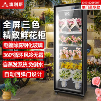 埃利斯(AILISI)商用鲜花保鲜柜单门鲜花全玻璃屏冰柜冷柜冷藏柜 风冷单门鲜花柜豪华款XHC-620FCHT