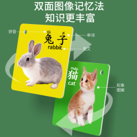 动物卡片早教认知启蒙书儿童识字宝宝看图识物幼儿数字卡玩具2430