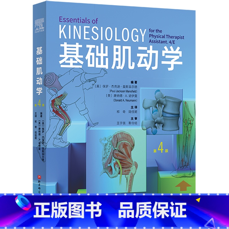 基础肌动学:第4版 【正版】基础肌动学:第4版