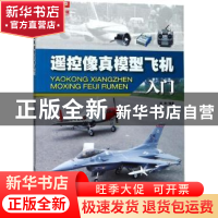 遥控像真模型飞机入门