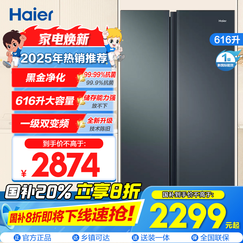 海尔(Haier)616升对开门超薄嵌入冰箱 鲸式储量 黑金净化 双变频一级能效 BCD-616WGHSSEDC9