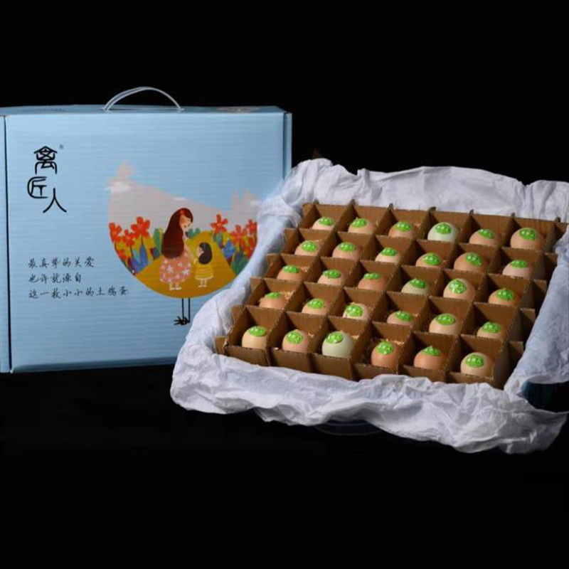 东北小笨鸡肉禽鸡农家自养松花针五彩土鸡 高营养更新鲜