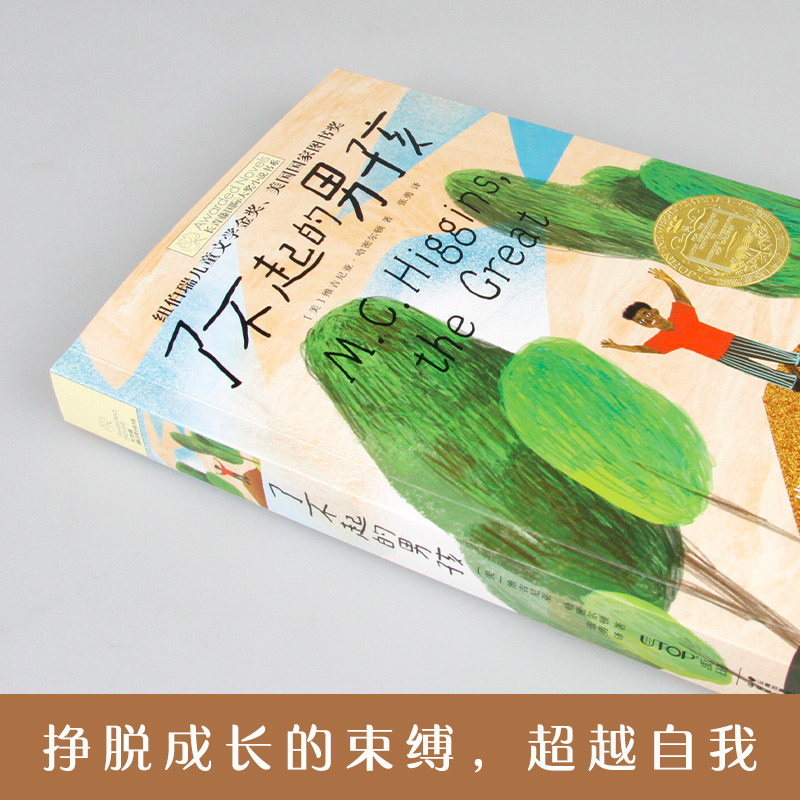 了不起的男孩 [正版]了不起的男孩 长青藤国际大奖小说书系 纽伯瑞儿童文学金奖 美国国家图书奖 小学三四五六年级课外阅读高清大图