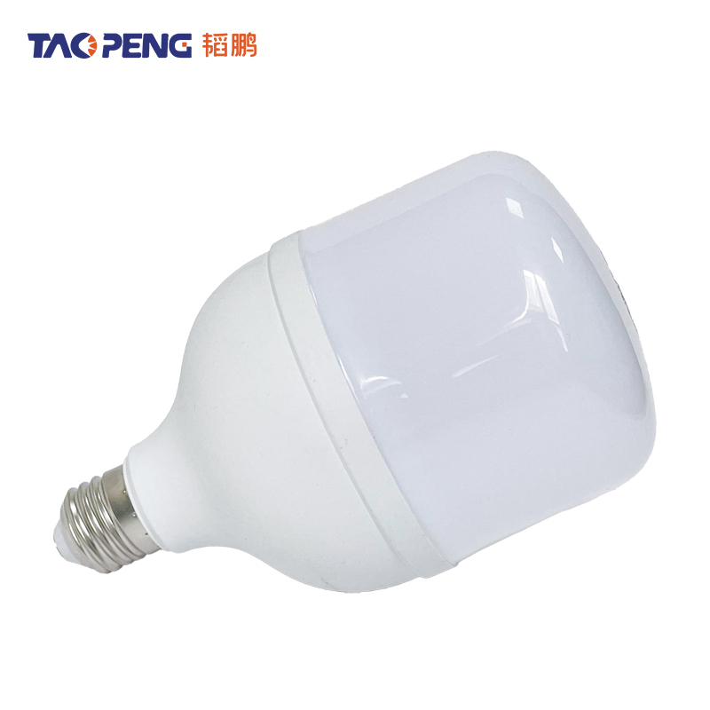 韬鹏 LED灯泡 10W 个高清大图