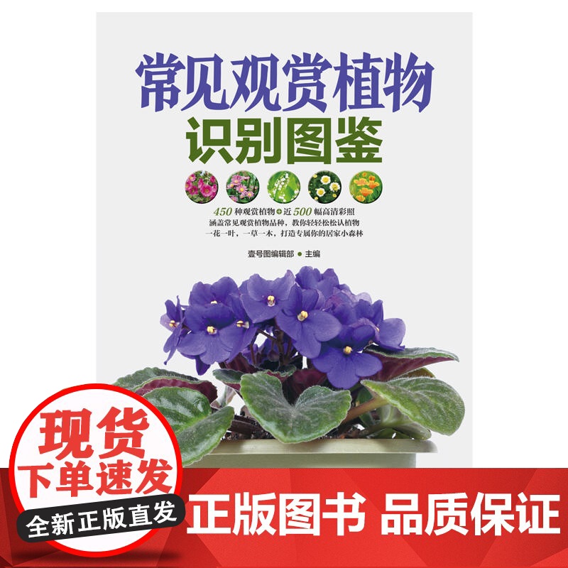 常见观赏植物识别图鉴高清大图