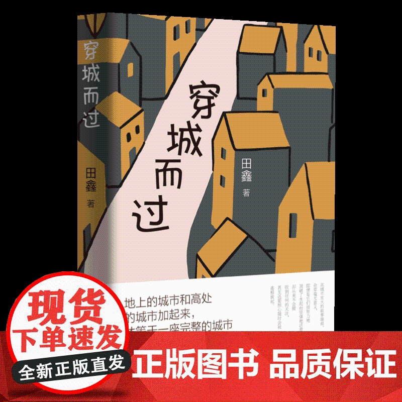 正版 穿城而过 田鑫 展现了城市的日常生活与独特的人文景观 填补了西部城市文化描写的空白 百花文艺出版社978753高清大图