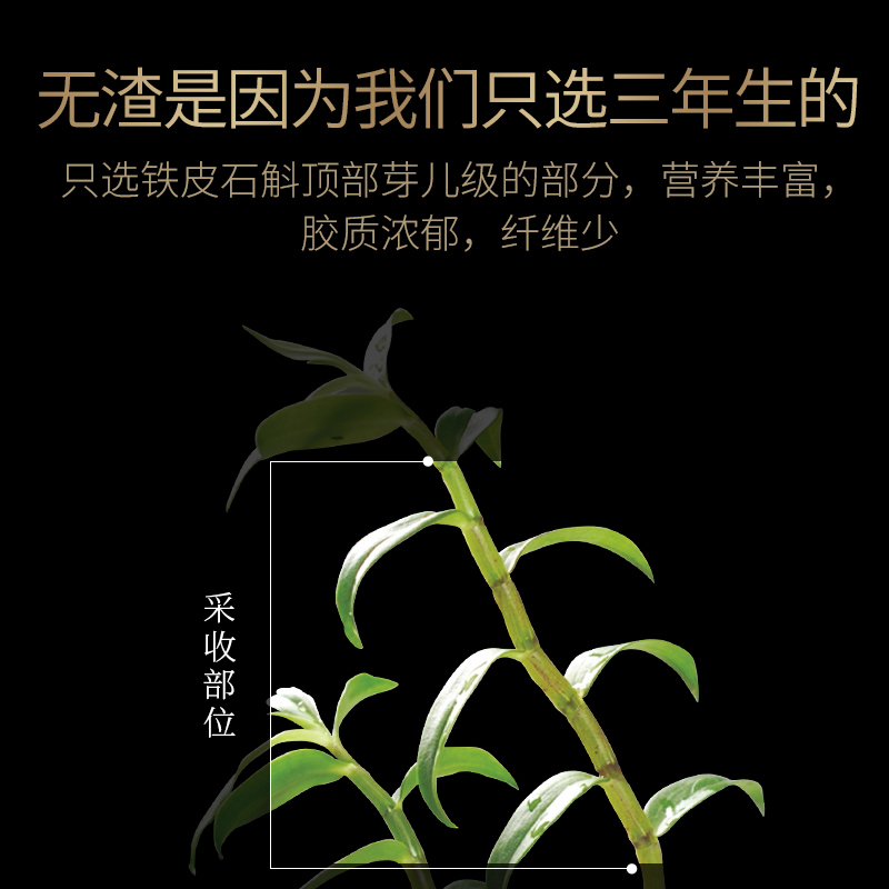 青源堂牌霍山铁皮石斛100克