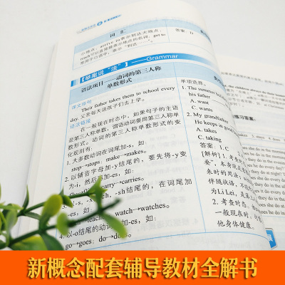 正版新概念英语1练习册3册同步语法练习英语入门自学零基础配套辅导 教材全解小学初中外语学习教材教师用书同步练习A+B含答