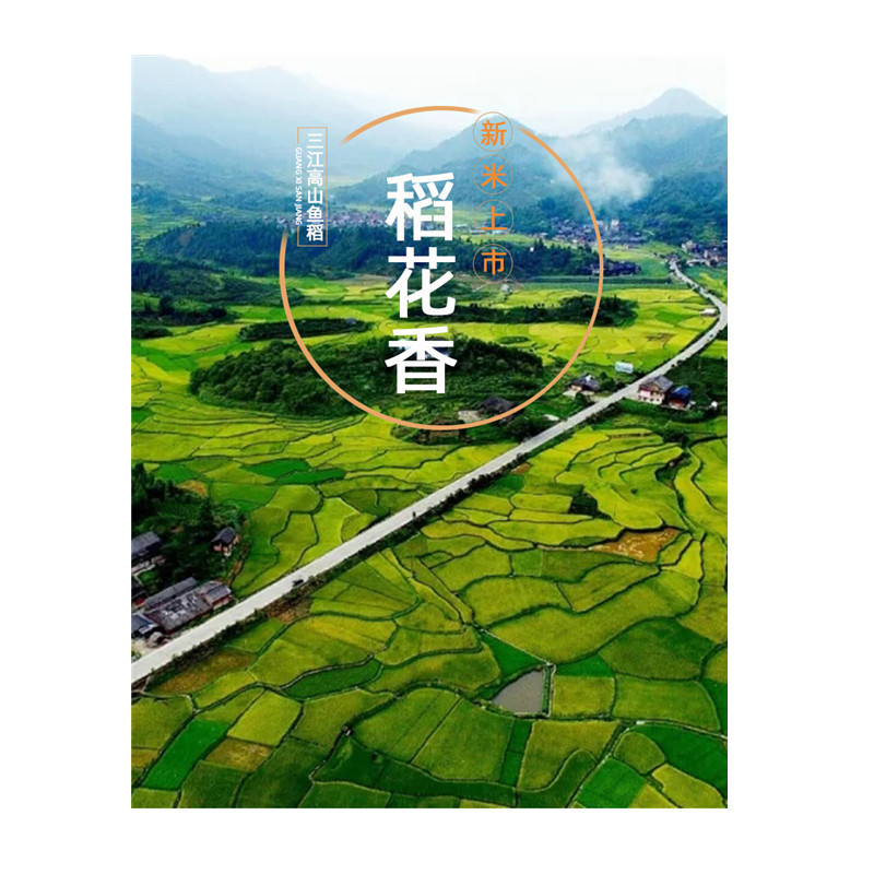 广西三江特产高山鱼稻绿色大米5kg/袋