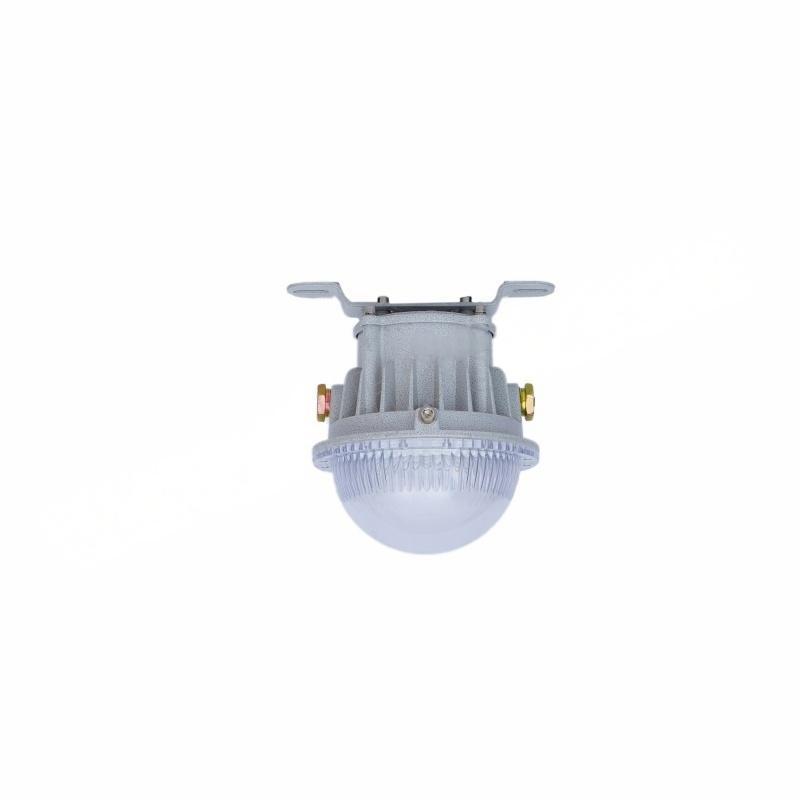 ZHEGUANRONG/浙冠荣 吸顶式led防爆工厂灯 GRD8183-20W 个