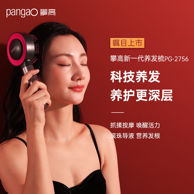 攀高-头皮按摩梳 PG-2756