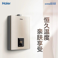 Haier/海尔燃气热水器16S2恒温防冻强排即热式 16升